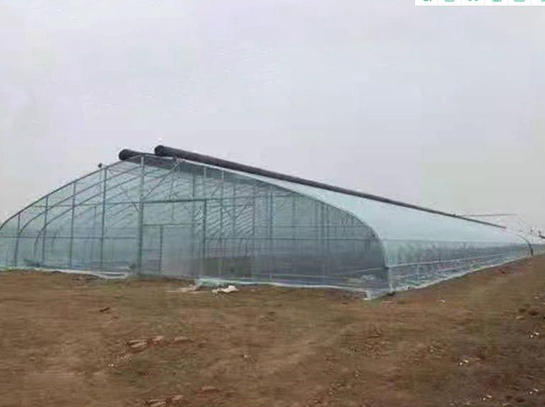 新余橢圓管大棚
