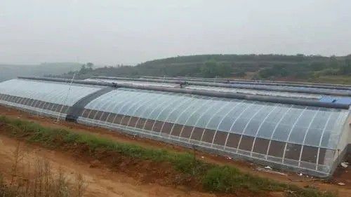 新余橢圓管大棚